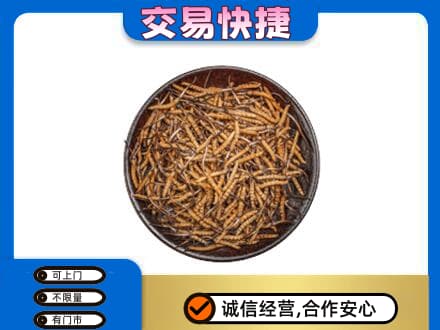 固始县礼品回收虫草.jpg